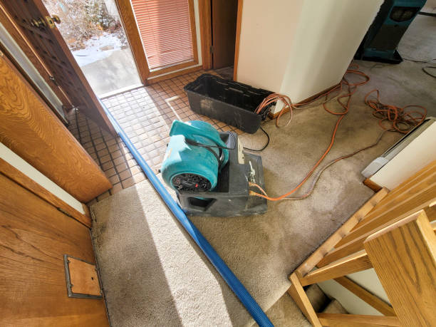 Best Commercial water damage restoration  in Mccormick, SC
