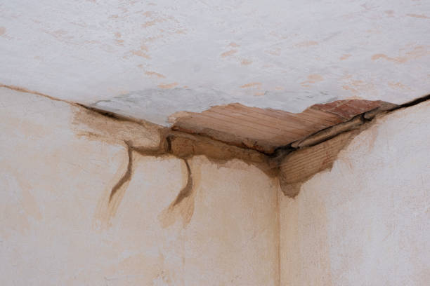 Best Professional water damage repair  in Mccormick, SC