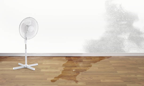 Best Water damage restoration mold remediation  in Mccormick, SC