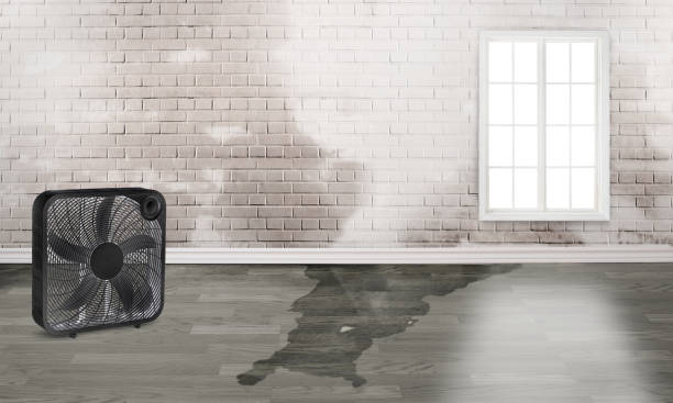 Best Water damage contractors near me  in Mccormick, SC