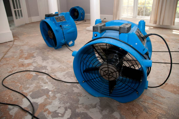Best Water damage restoration near me  in Mccormick, SC