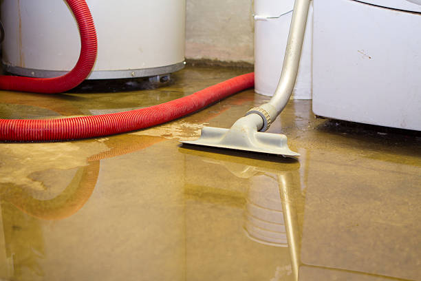 Best Mold removal after water damage  in Mccormick, SC