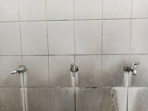 Best Flood restoration services  in Mccormick, SC