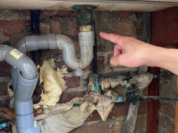 Water damage restoration mold remediation in SC