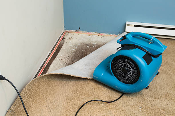 Best 24-hour water damage restoration  in Mccormick, SC